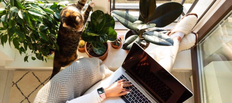 Free invoice app? Try Q.Invoice!